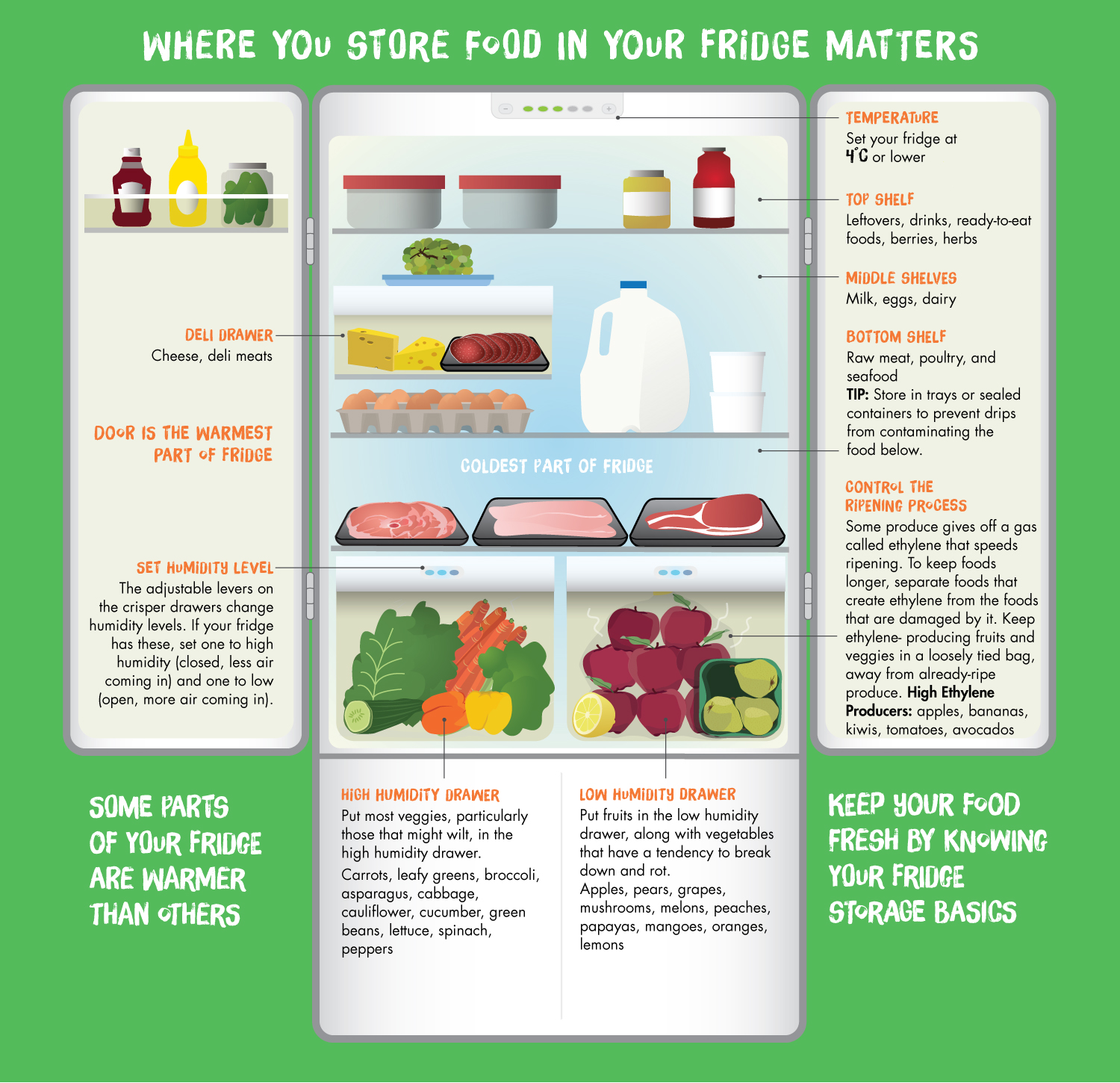 Fridge Guide - Love Food Hate Waste Canada