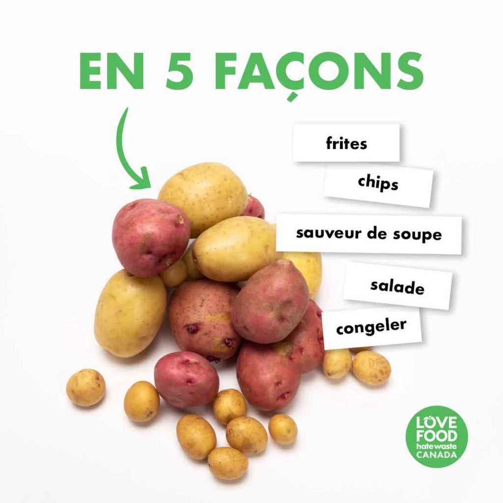 Les pommes de terre germées EN 5 FAÇONS