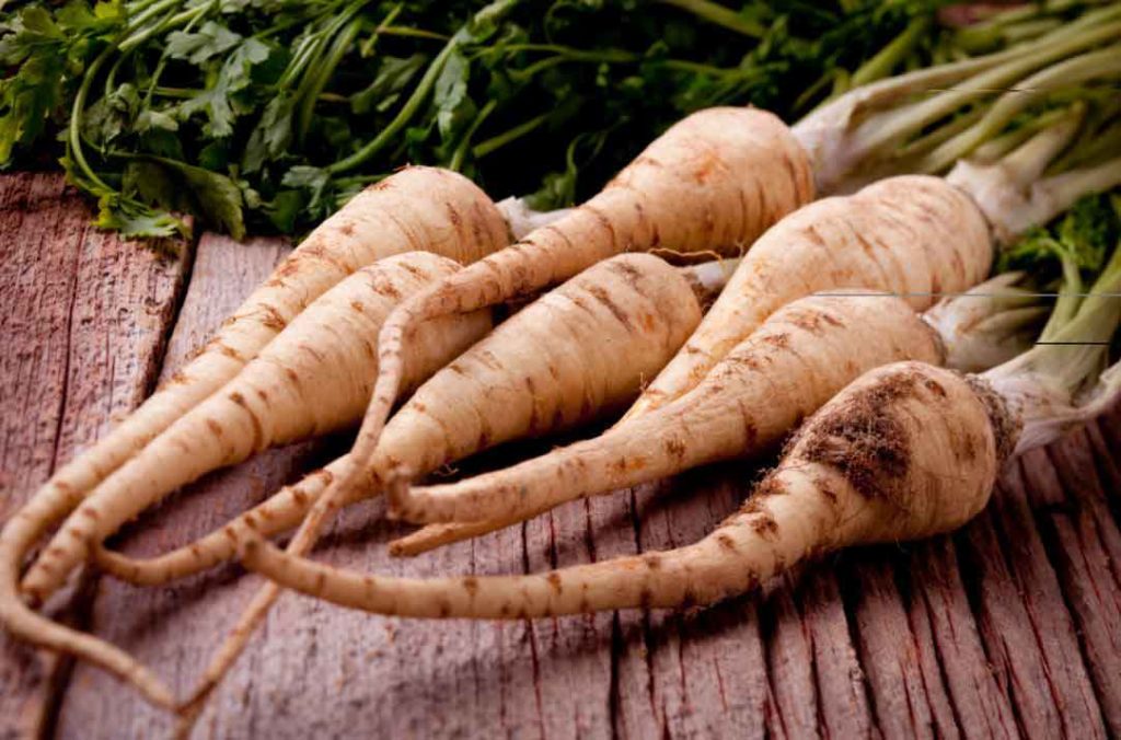 Best Ways To Store And Use Parsnips