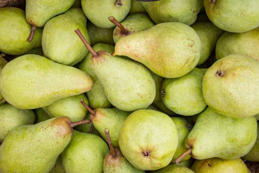 Best Ways To Store And Use Pears