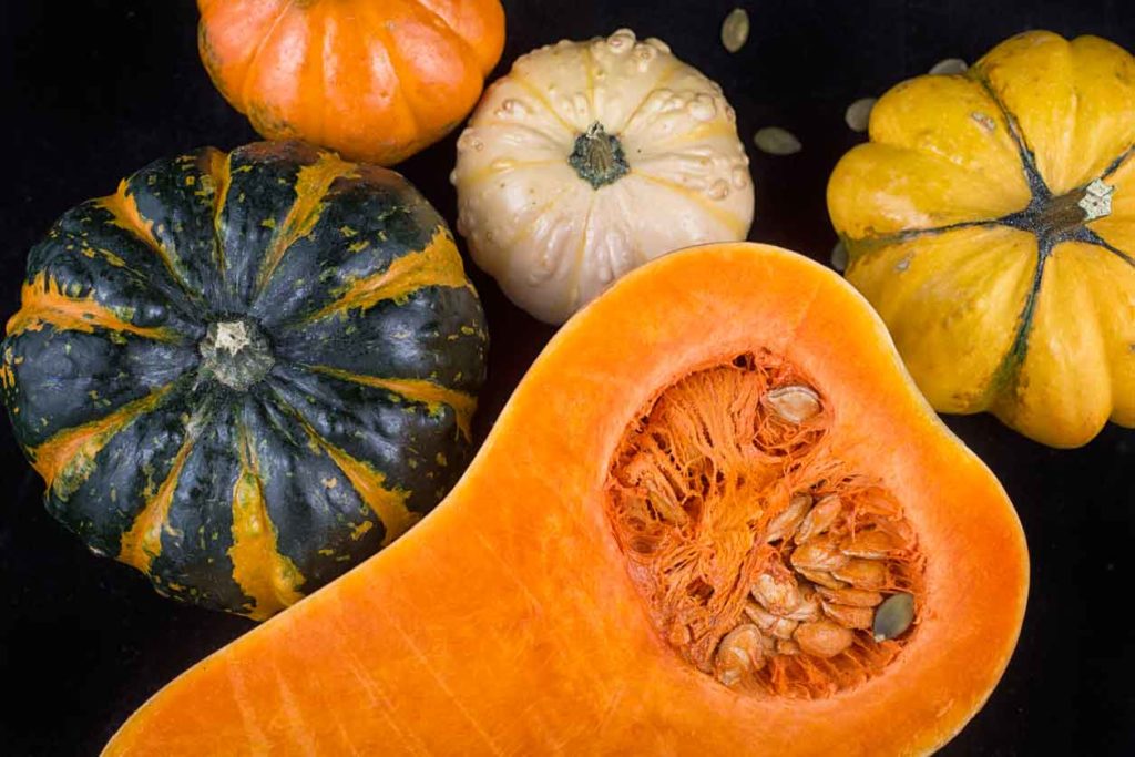 Best Ways To Store And Use Squash