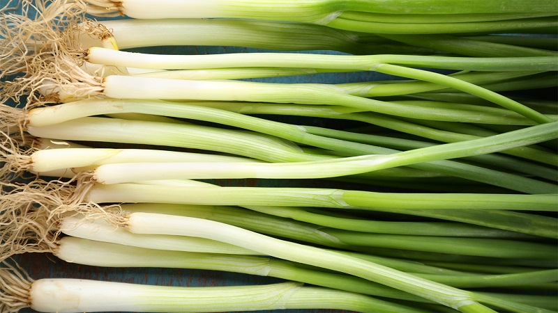 Best ways to store and use Green Onions