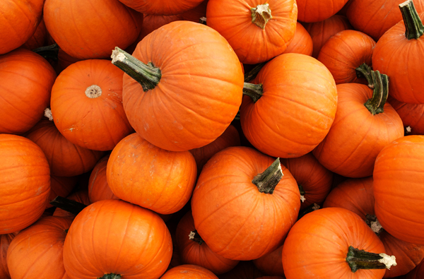 Best Ways To Store And Use Pumpkins