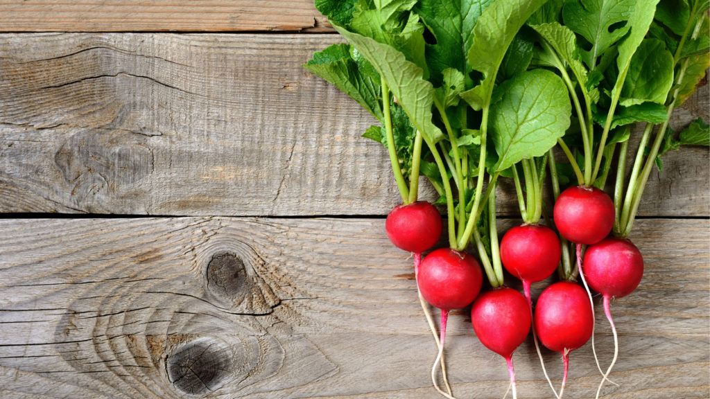 Best Ways To Store And Use Radishes