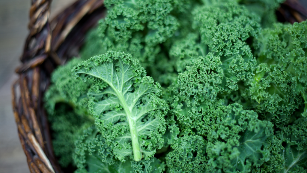 Best ways to store and use Kale