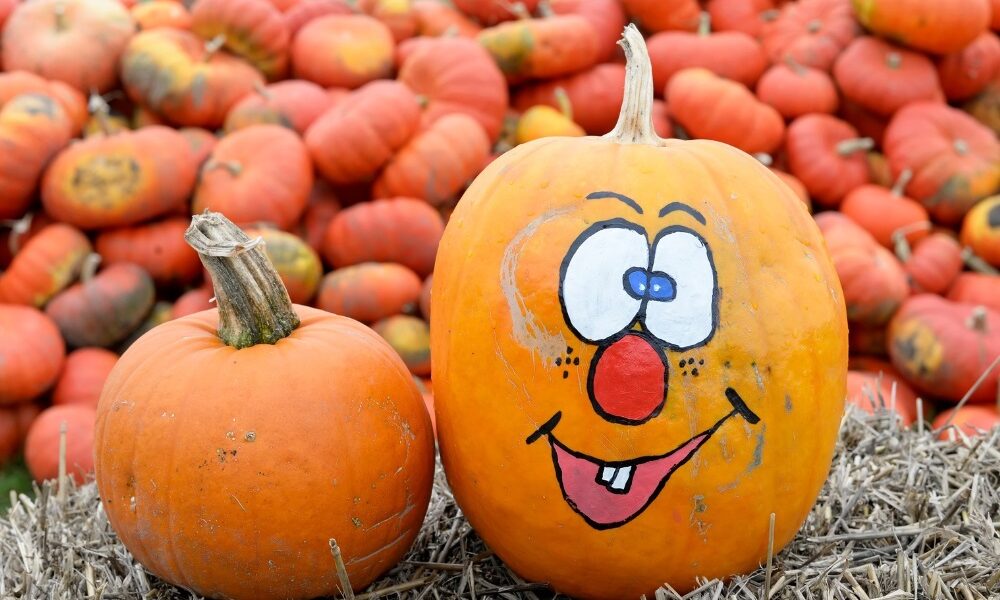 Use paint or stickers to decorate pumpkins and still be able to eat them!