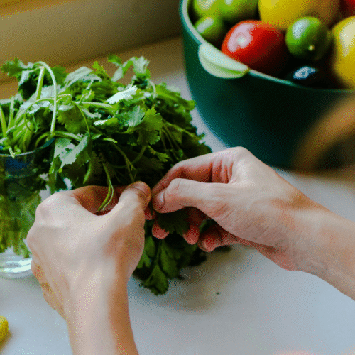 woman picking cilantro leaves from the bunch in their kitchen